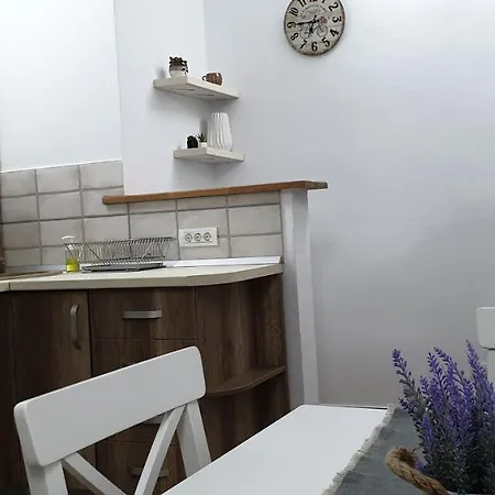 Madalina Lägenhet Braşov